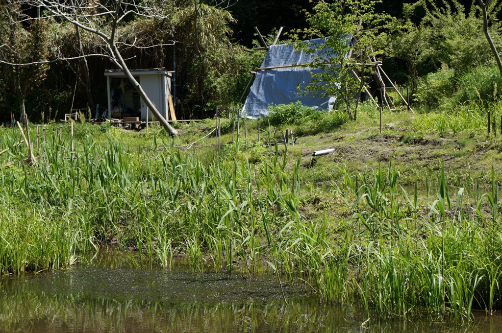 小屋