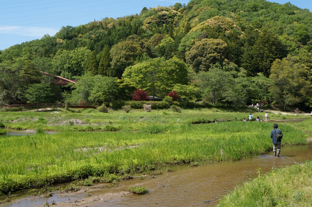 意外と深い