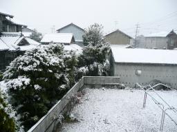 名古屋の初雪